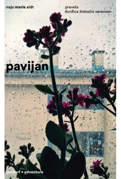 Pavijan.jpg