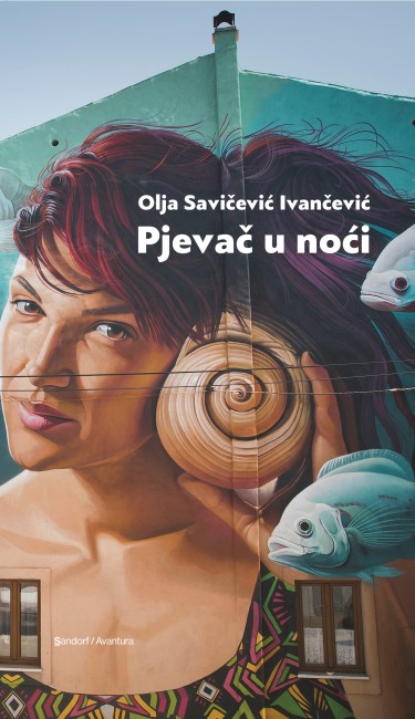 Pjevač u noći.jpg