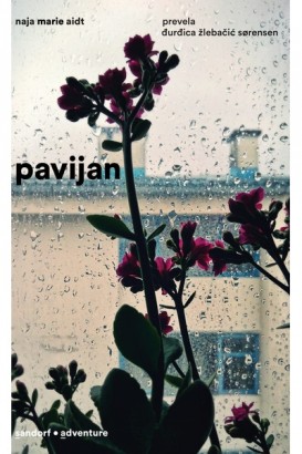 Pavijan.jpg