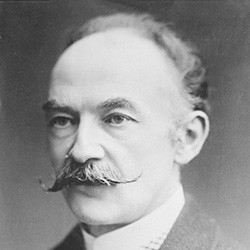 Tomas Hardi Tes od roda D’Erbervila